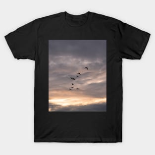 Flock of geese T-Shirt